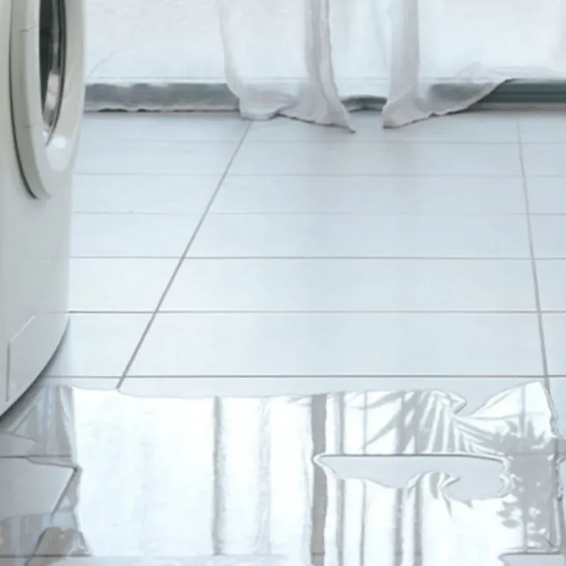 Appliance Leak Cleanup in South Miami, FL